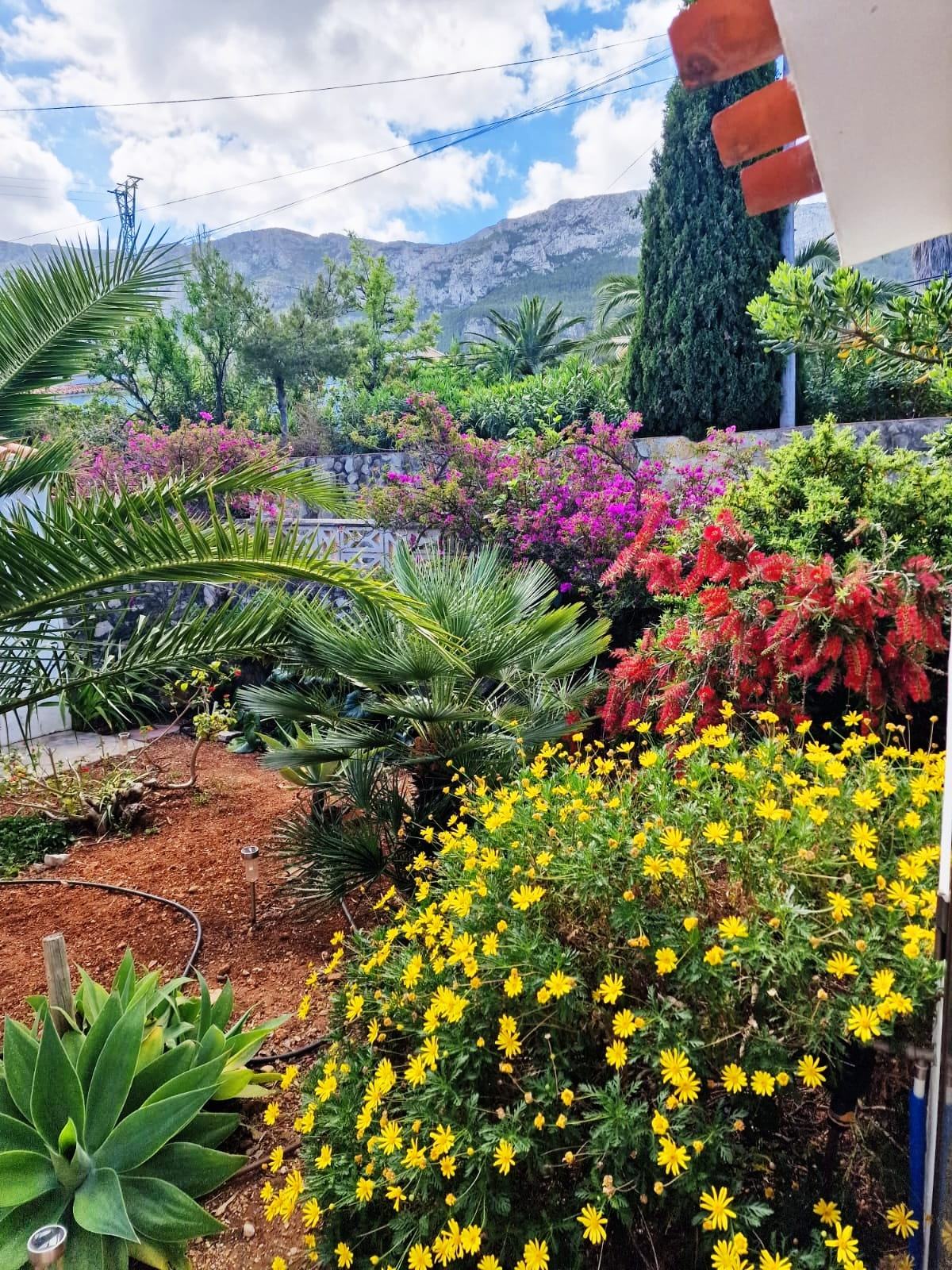 Alquiler vacacional Denia
