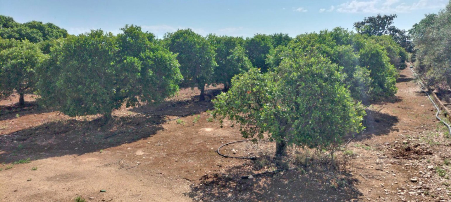 Terreno en venta en El Vergel, Alicante de 4827 m²