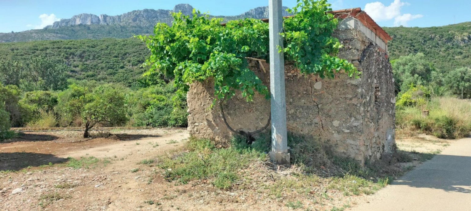 Terreno en venta en El Vergel, Alicante de 4827 m²