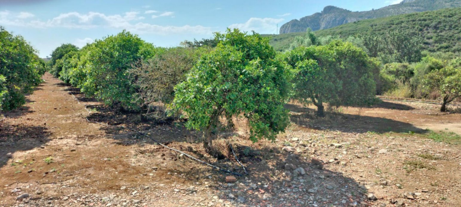Terreno en venta en El Vergel, Alicante de 4827 m²