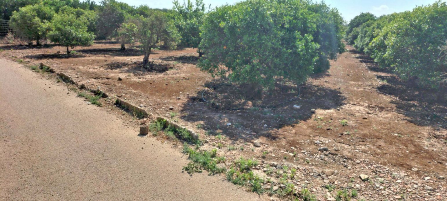 Terreno en venta en El Vergel, Alicante de 4827 m²